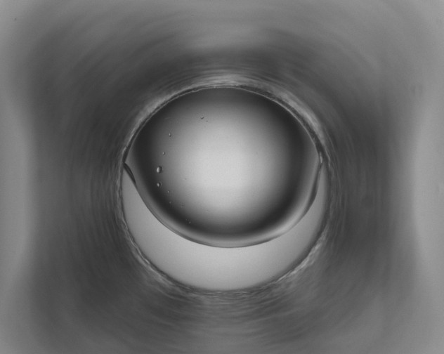 X0000112021481200908171420