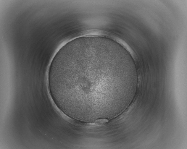 X0000112021483200908171420