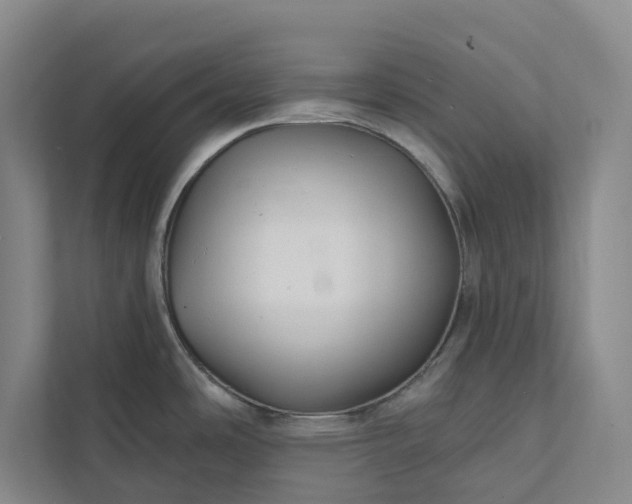 X0000112021486200908171420