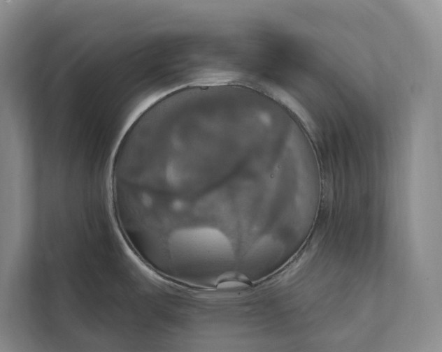 X0000112021487200908171420