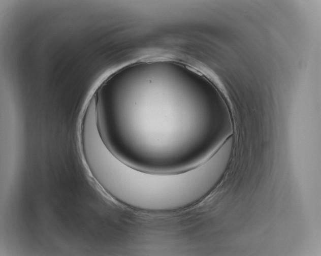 X0000112021488200908171420