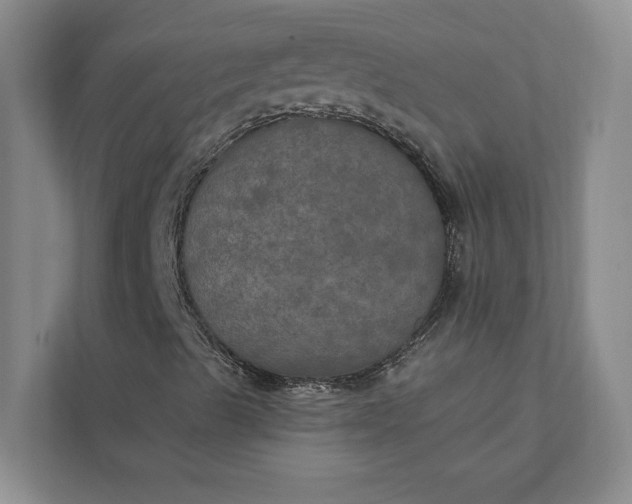 X0000112021489200908171419