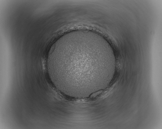 X0000112021490200908171419