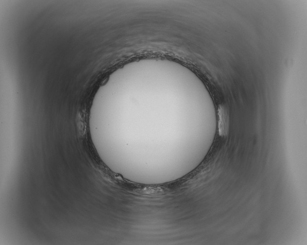 X0000112021491200908171419