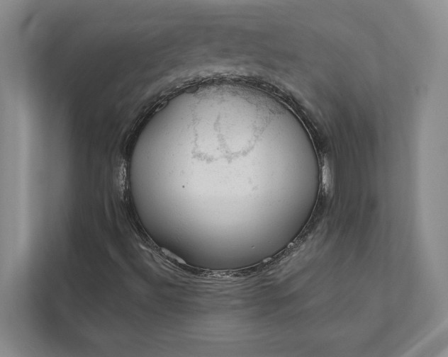 X0000112021492200908171419