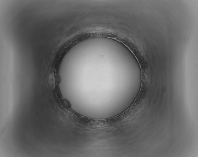 X0000112021493200908171419