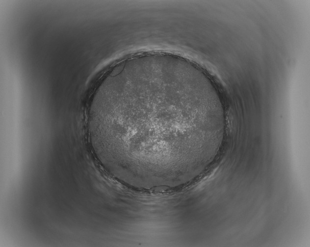 X0000112021494200908171419