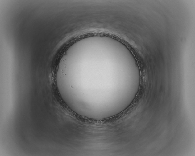 X0000112021495200908171419