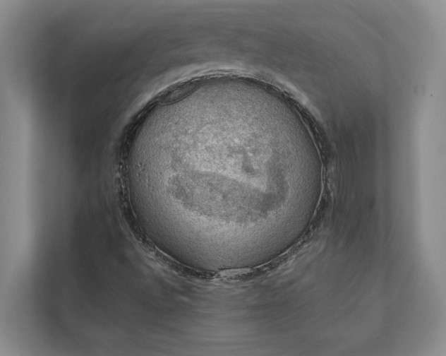 X0000112021496200908171419