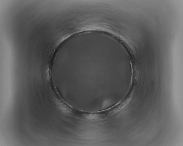 X0000112021497200908171419