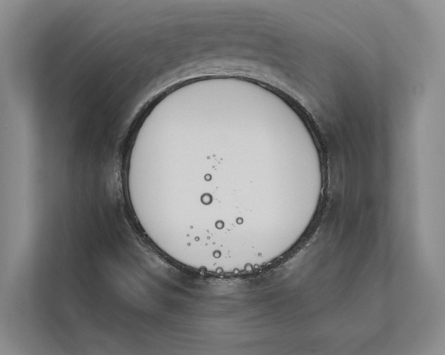 X0000112021498200908171419