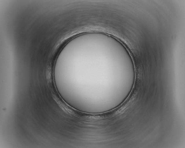 X0000112021499200908171419