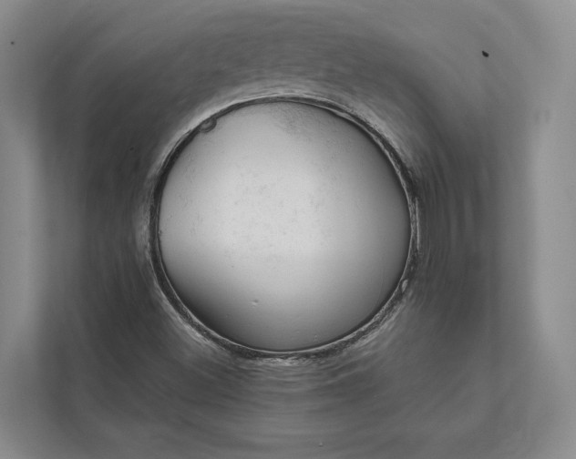 X0000112021500200908171419