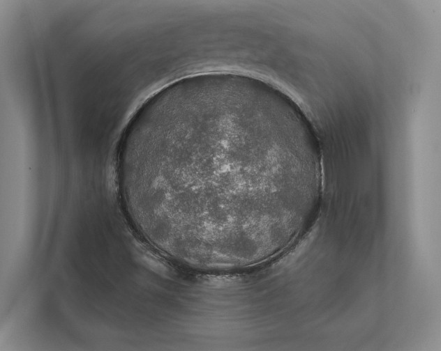 X0000112021501200908171419