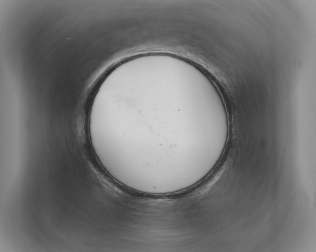 X0000112021502200908171419