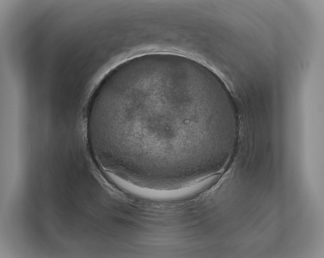 X0000112021503200908171419