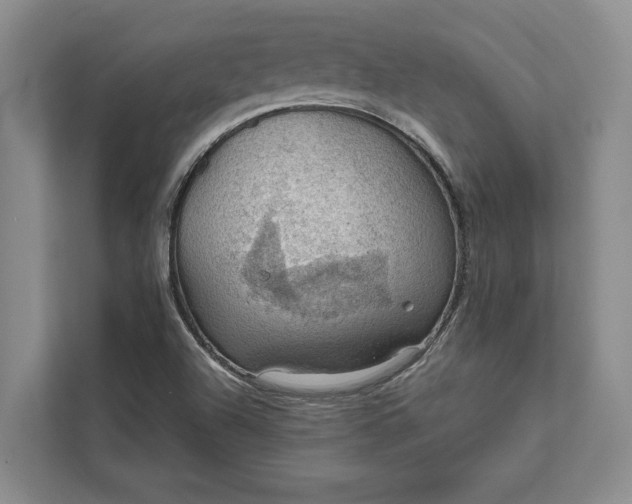 X0000112021504200908171419