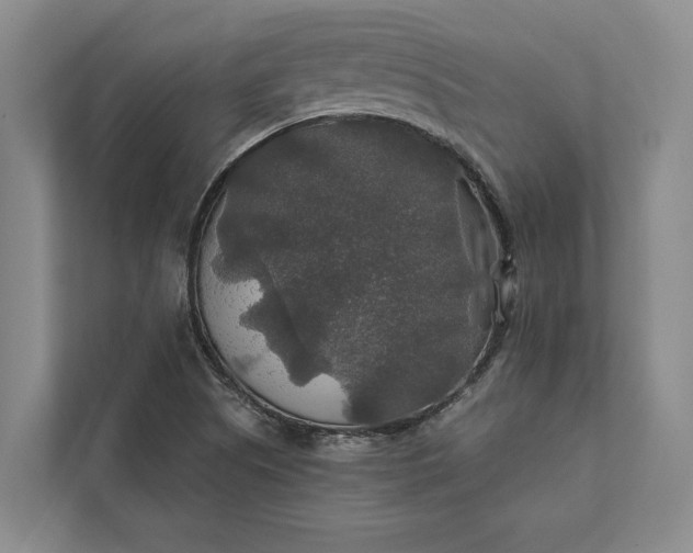 X0000112021505200908171419