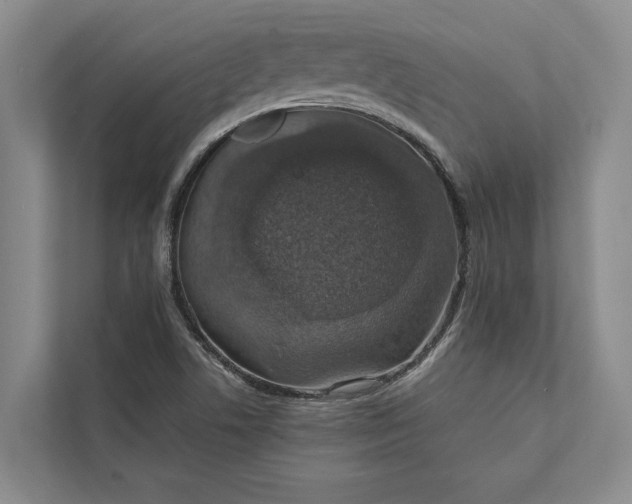 X0000112021506200908171419