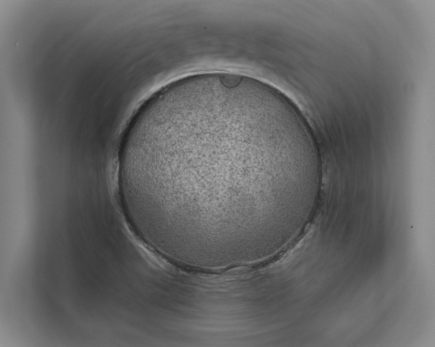 X0000112021507200908171419