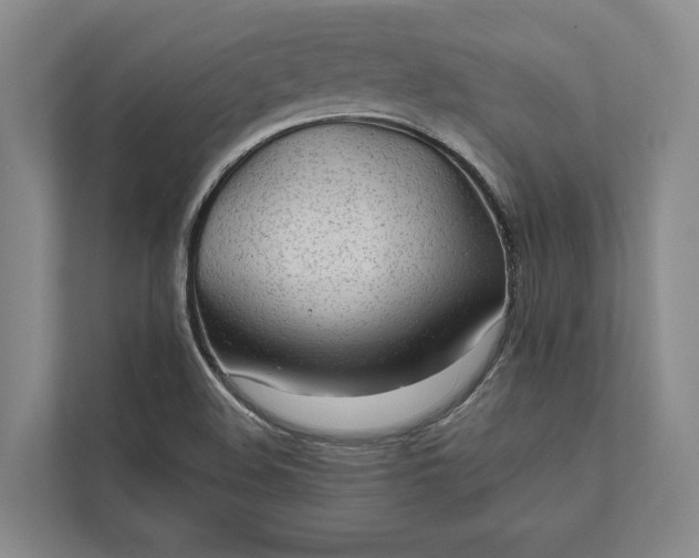 X0000112021508200908171419