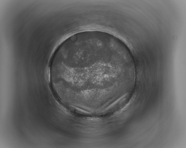 X0000112021509200908171419