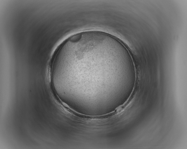 X0000112021510200908171419