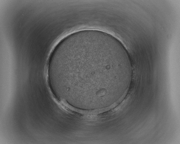 X0000112021511200908171419