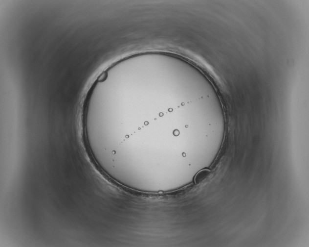 X0000112021512200908171419