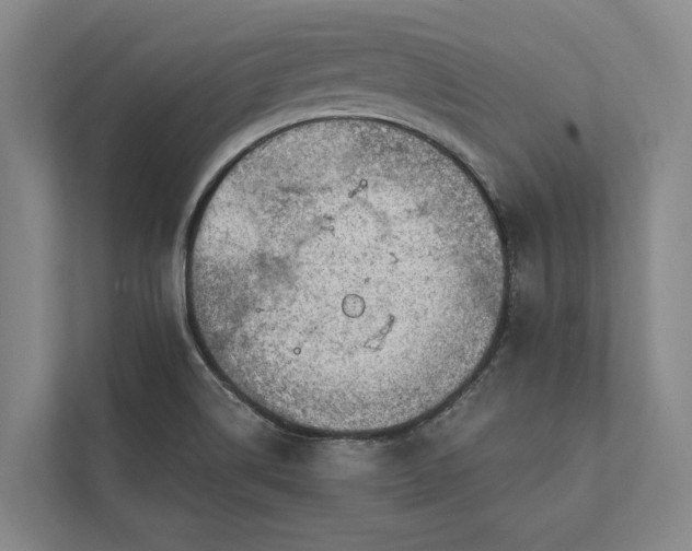 X0000112021514200908171419