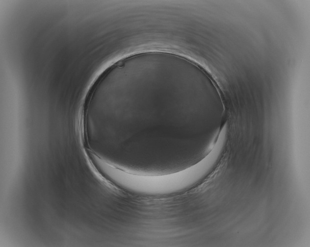 X0000112021515200908171419