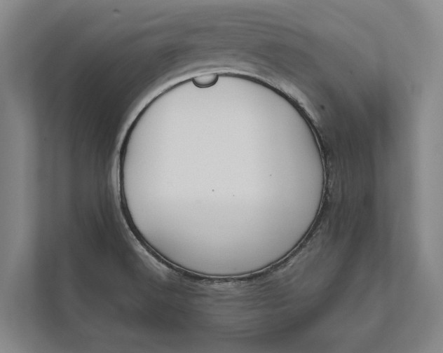 X0000112021516200908171419