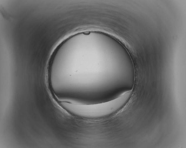 X0000112021518200908171419