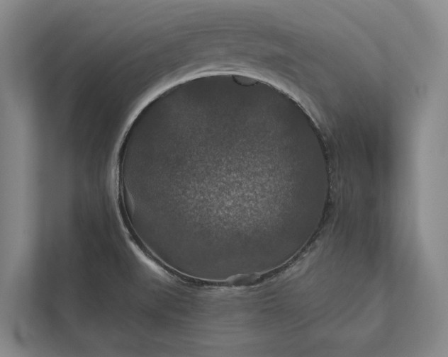 X0000112021519200908171419