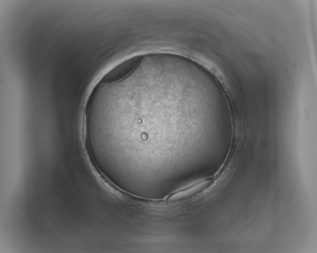 X0000112021520200908171419