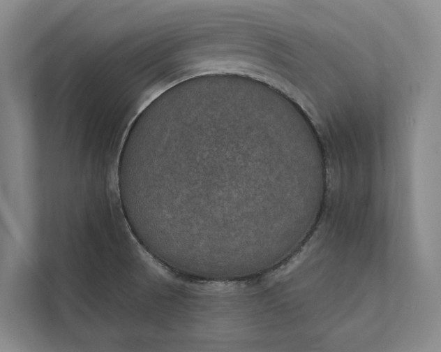 X0000112021521200908171420