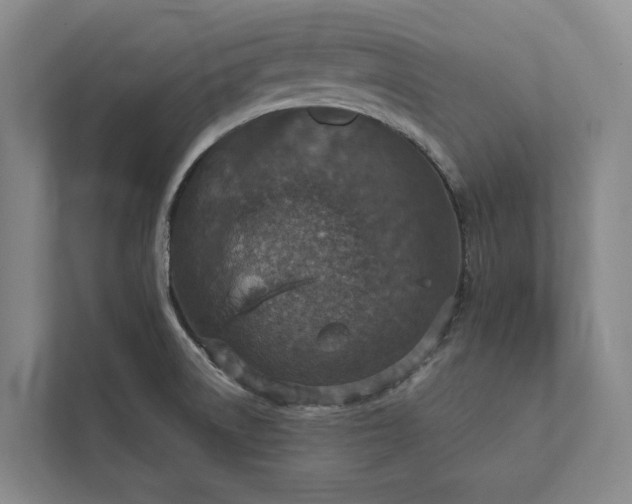 X0000112021522200908171420