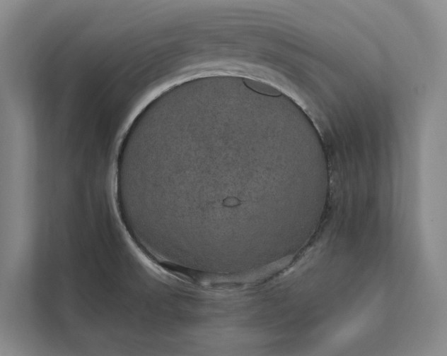 X0000112021523200908171420