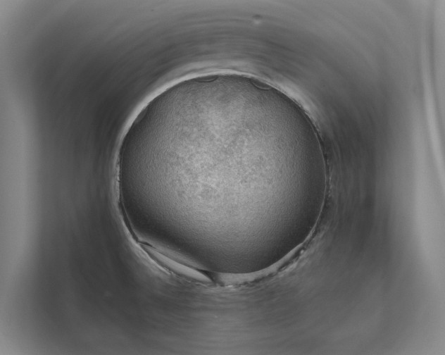 X0000112021524200908171420