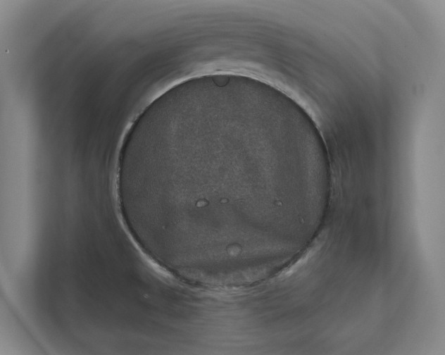 X0000112021525200908171420