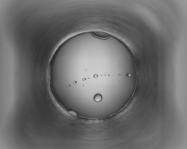 X0000112021526200908171420