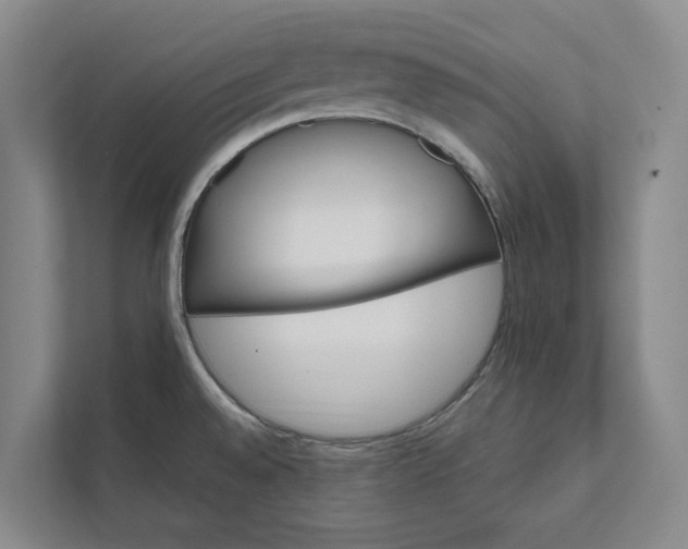 X0000112021528200908171420