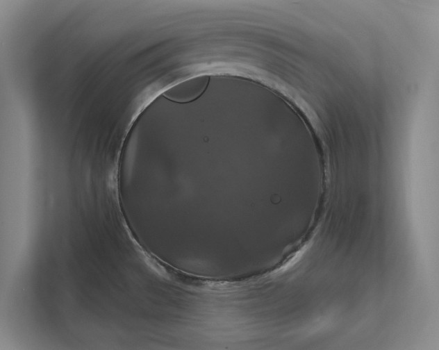 X0000112021529200908171420