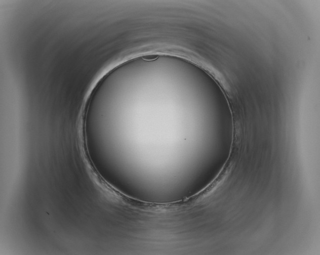 X0000112021530200908171420