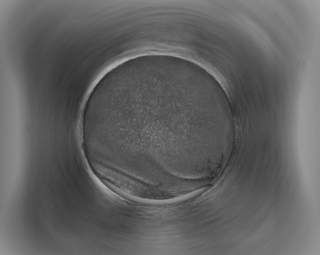 X0000112021531200908171420