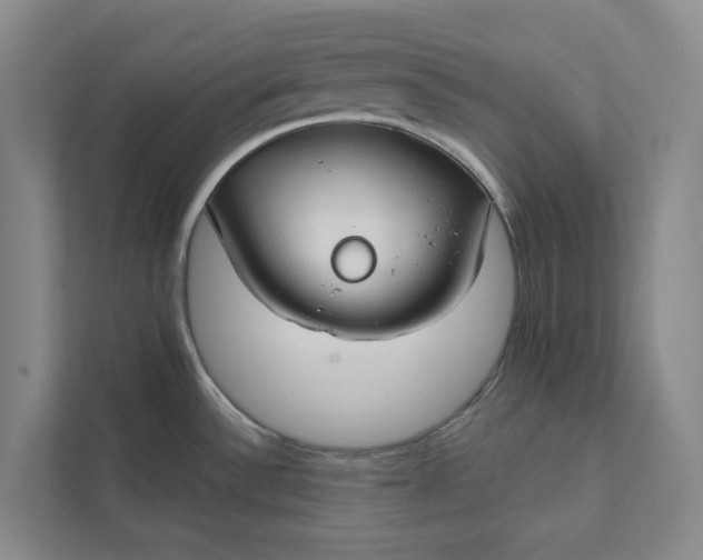 X0000112021532200908171420