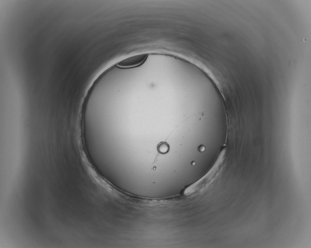 X0000112021534200908171420