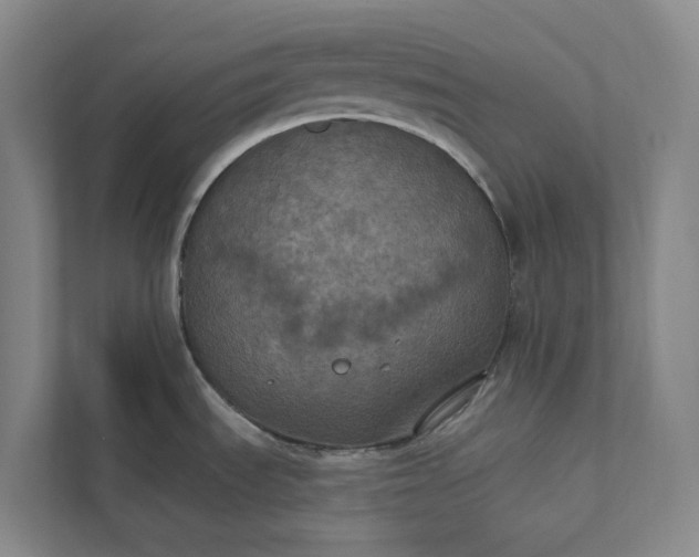 X0000112021535200908171420