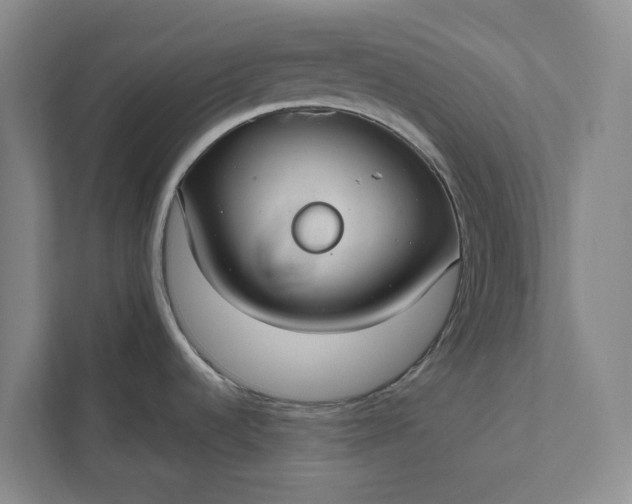 X0000112021536200908171420