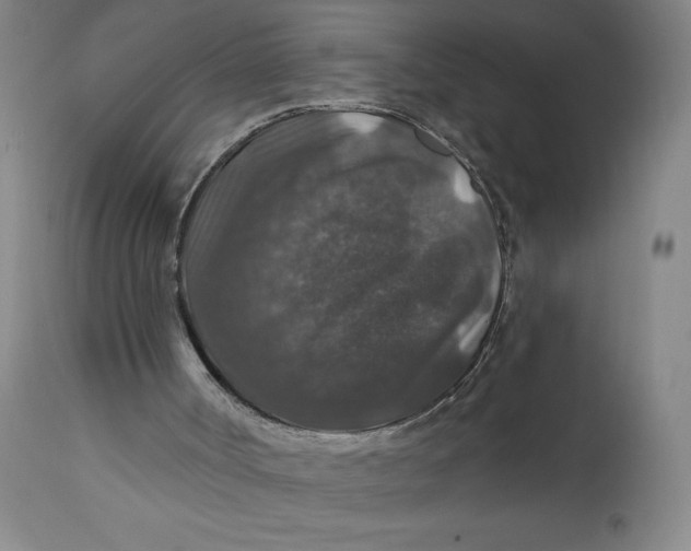 X0000112020002200908241526